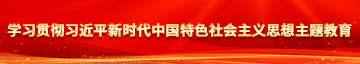 日本动漫口交原声视频学习贯彻习近平新时代中国特色社会主义思想主题教育